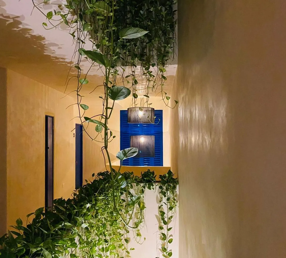Sunsteps Casa Holbox Apartment  Isla Holbox